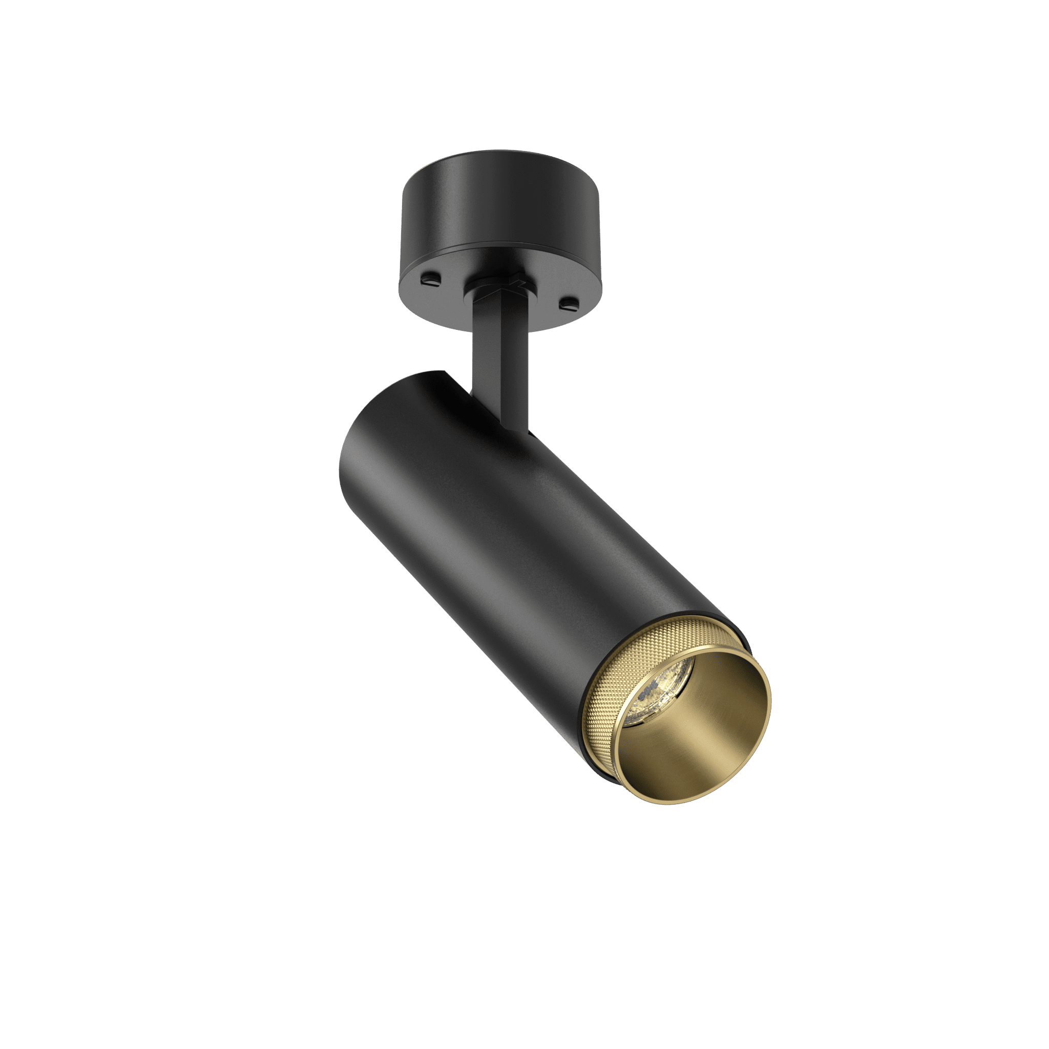Tubular Snoot 60 Surface Mount Adjustable