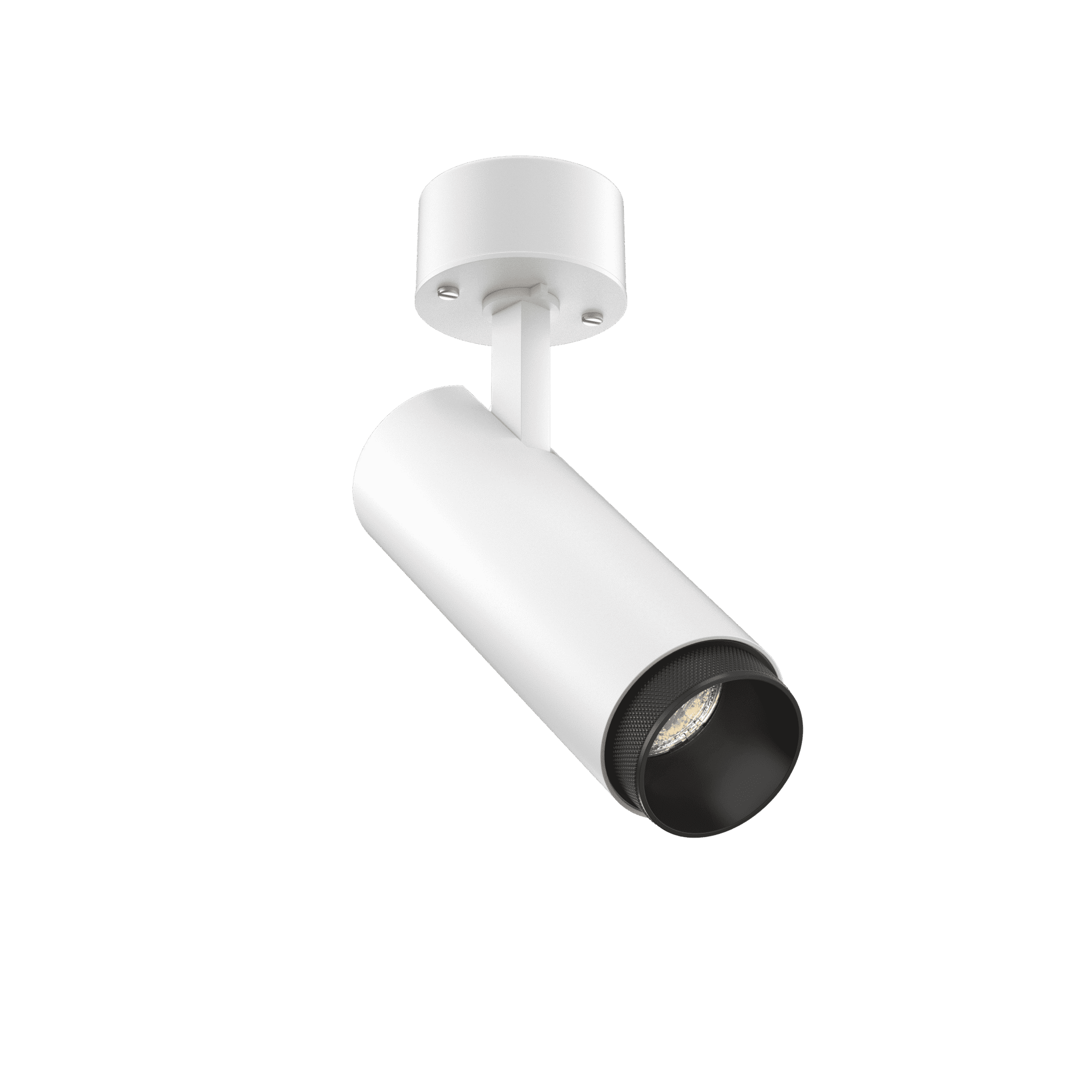 Tubular Snoot 60 Surface Mount Adjustable