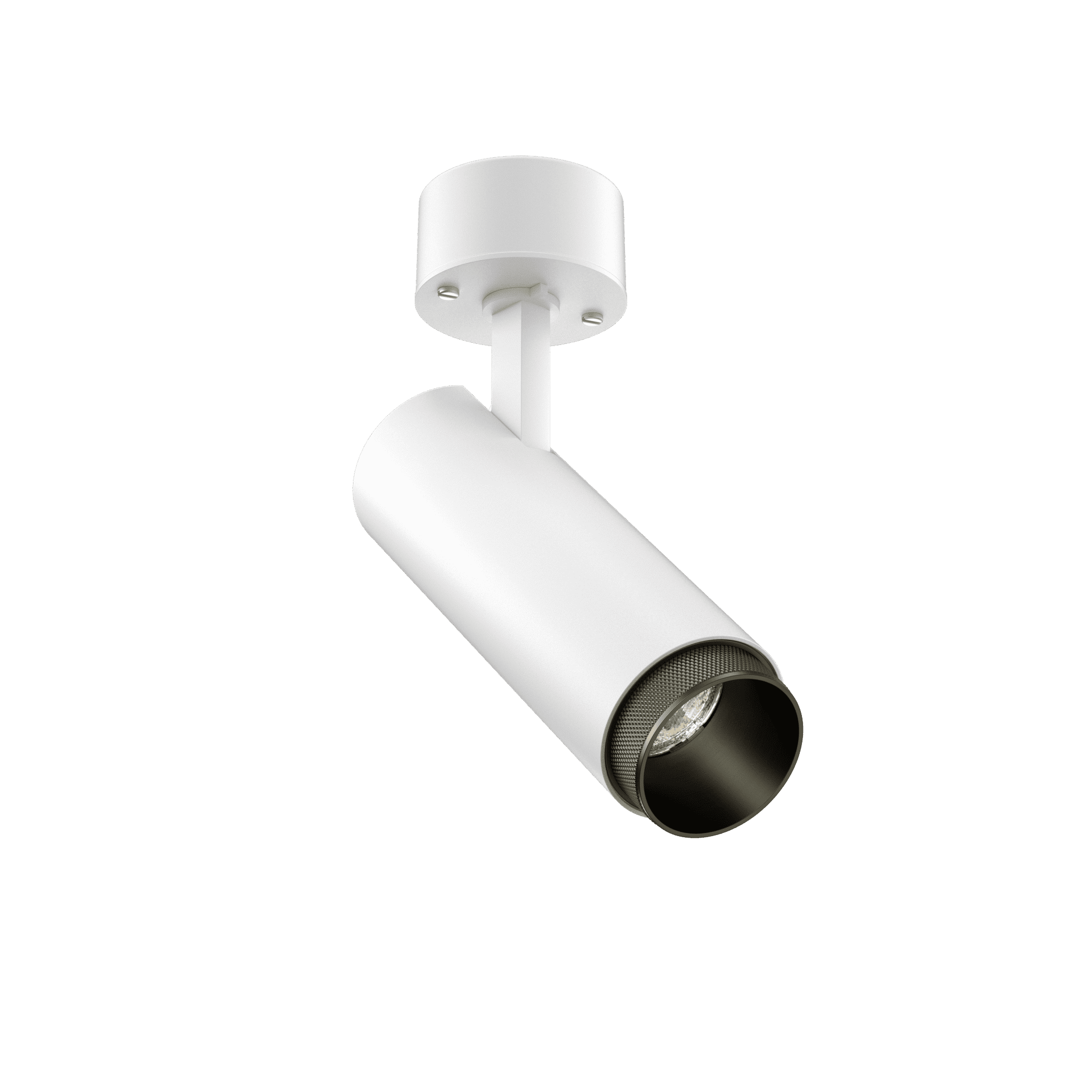Tubular Snoot 60 Surface Mount Adjustable