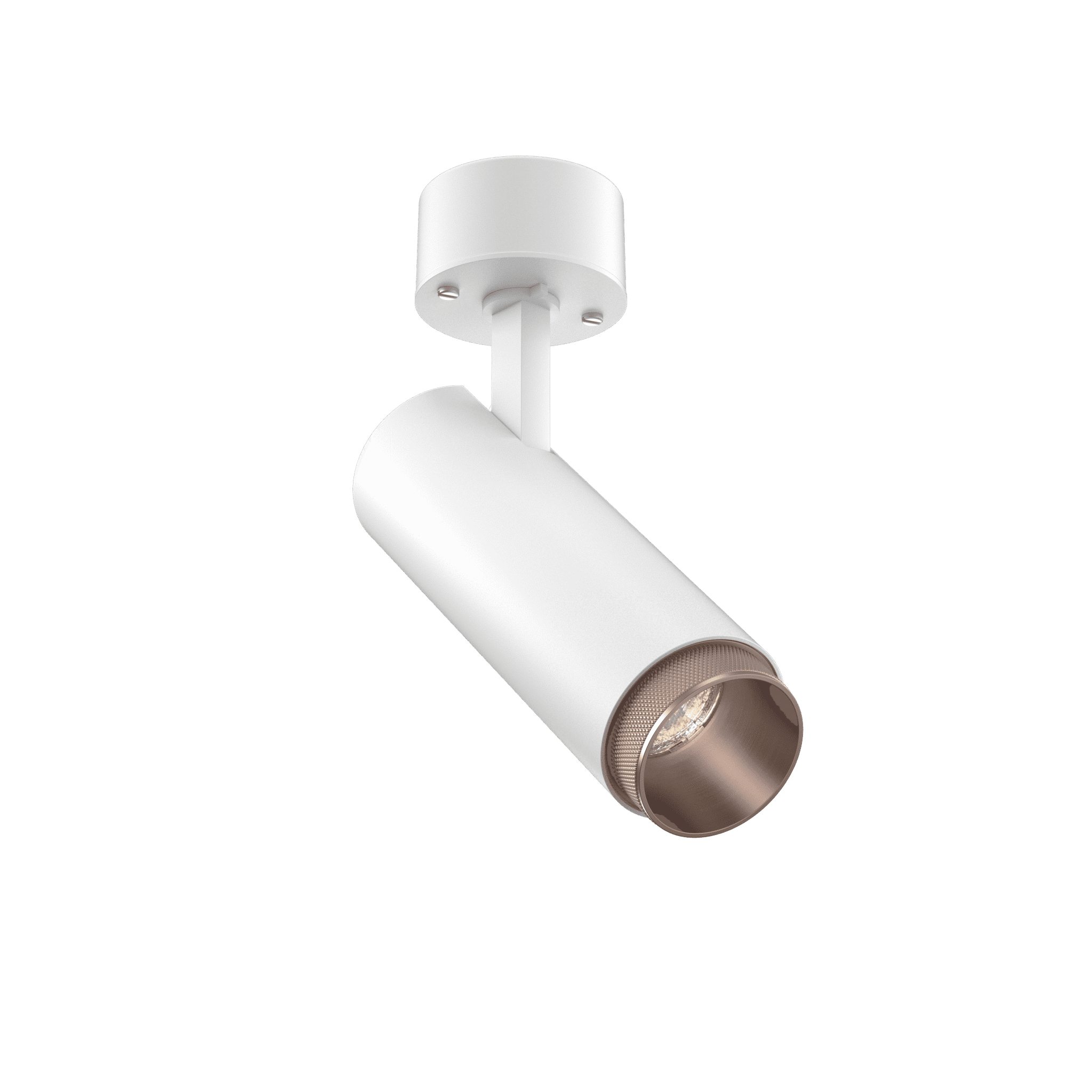 Tubular Snoot 60 Surface Mount Adjustable