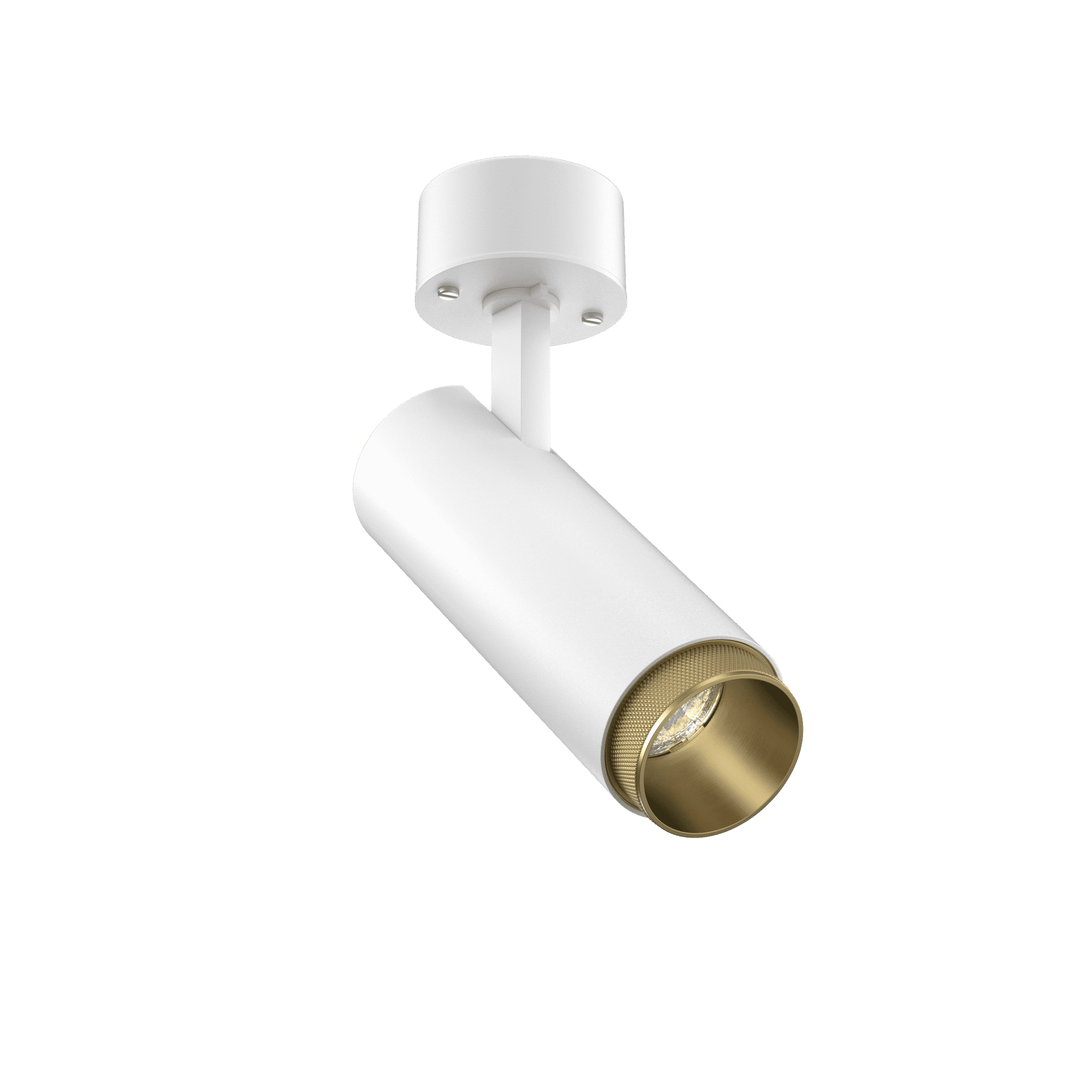 Tubular Snoot 60 Surface Mount Adjustable