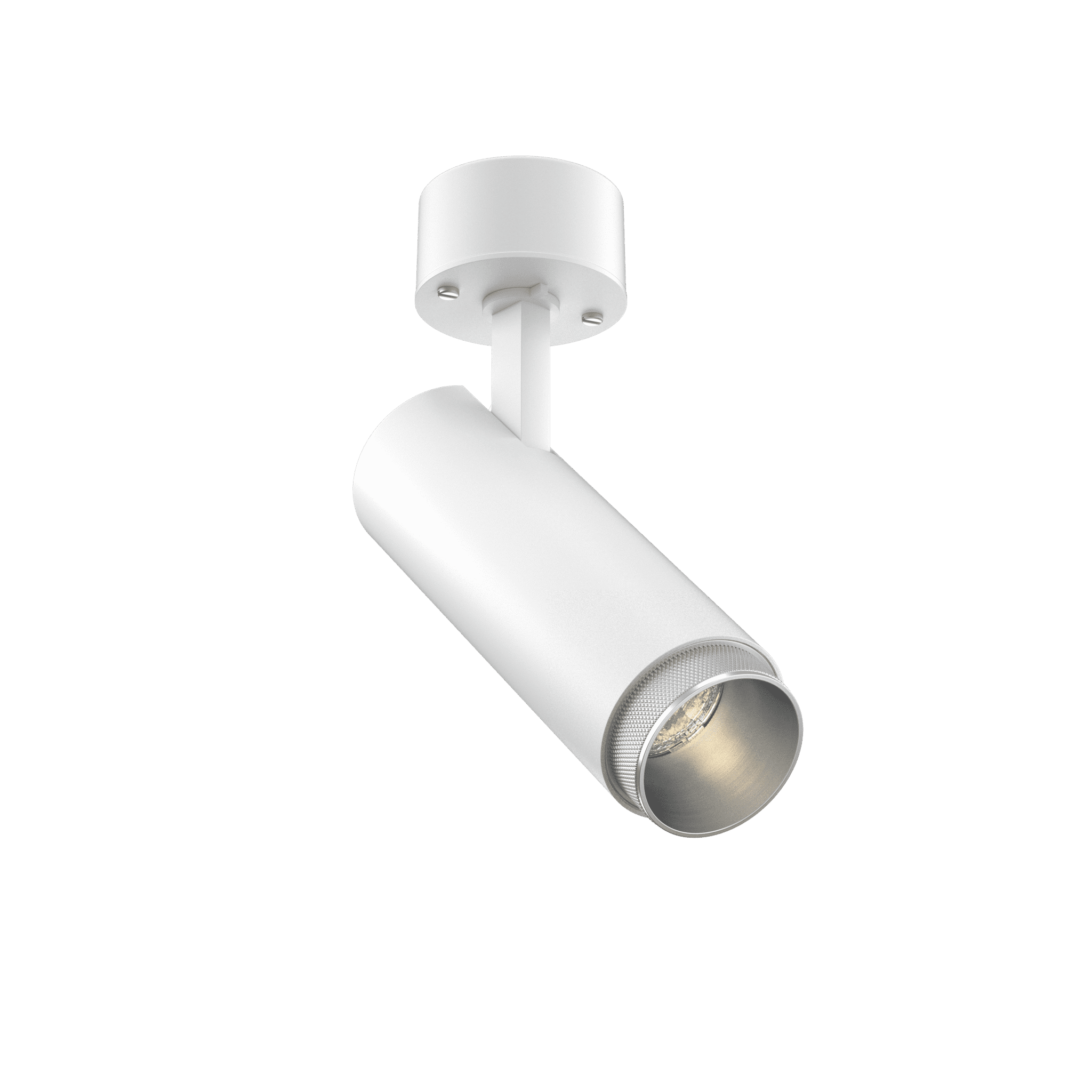 Tubular Snoot 60 Surface Mount Adjustable